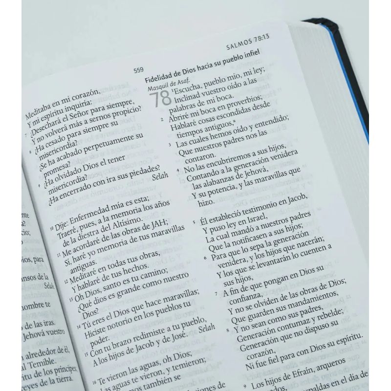 BIBLIA RVR 1960 LETRA GRANDE - TD LEON DE JUDA ARCOIRIS (Nuevo) - Miniatura 3