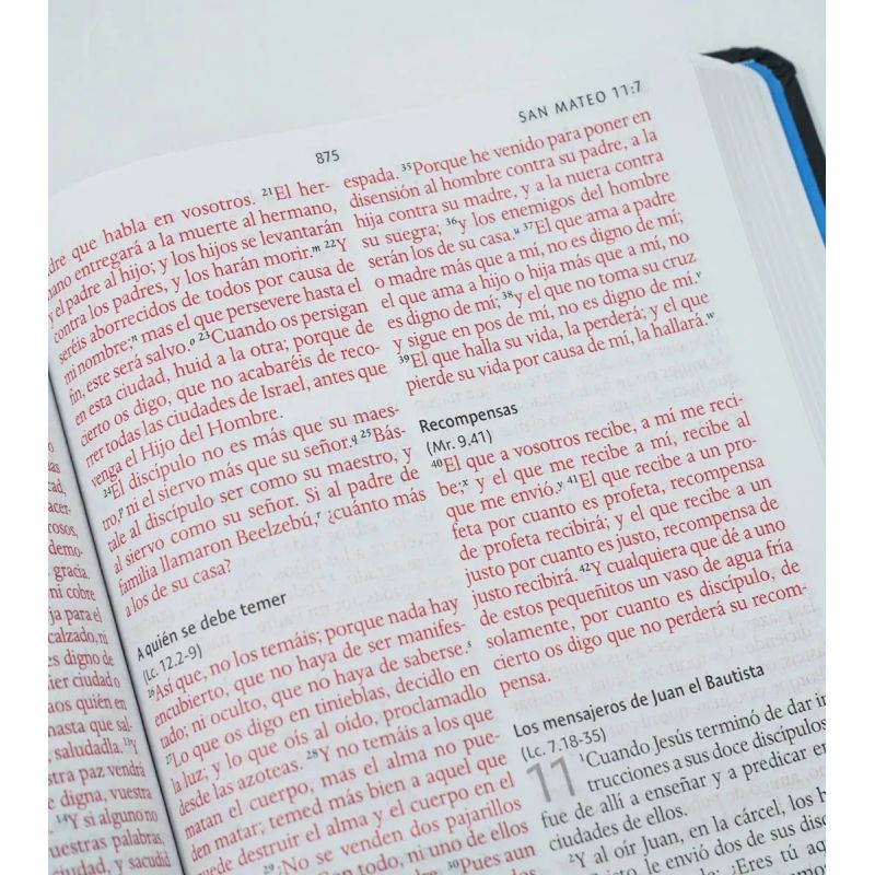 BIBLIA RVR 1960 LETRA GRANDE - TD LEON DE JUDA ARCOIRIS (Nuevo) - Miniatura 4