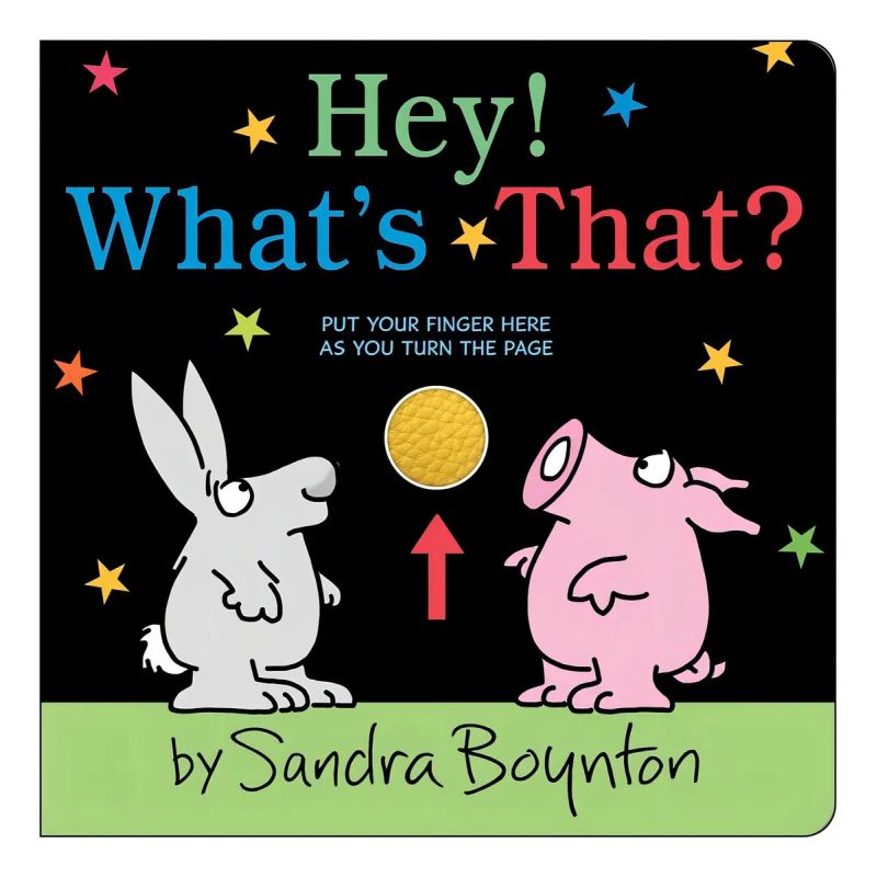 HEY! WHAT'S THAT? - BOARD BOOK (Nuevo)