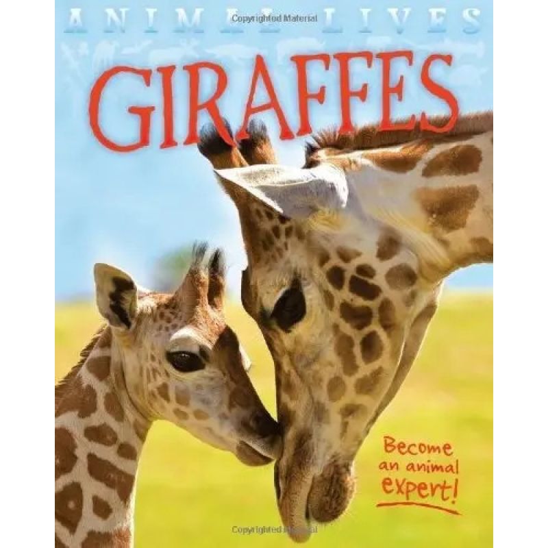GIRAFFE (PB) - ANIMAL LIVES* (Nuevo)