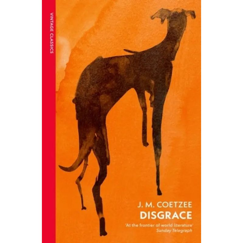 DISGRACE - PB (Nuevo)