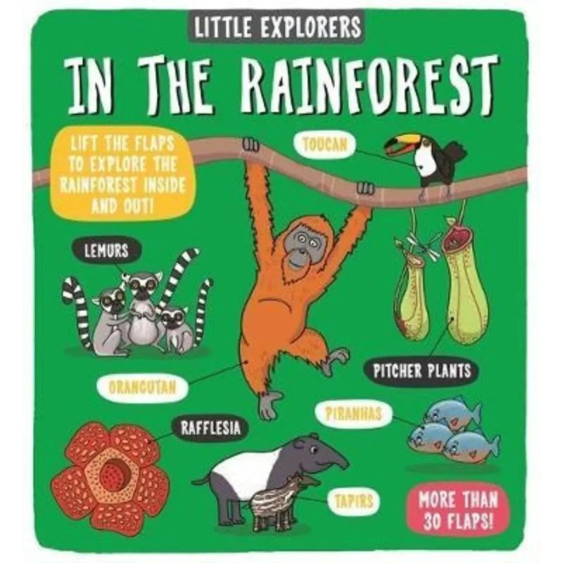 IN THE RAINFOREST - LITTLE EXPLORERS BOARD BOOK (TD) (Nuevo)