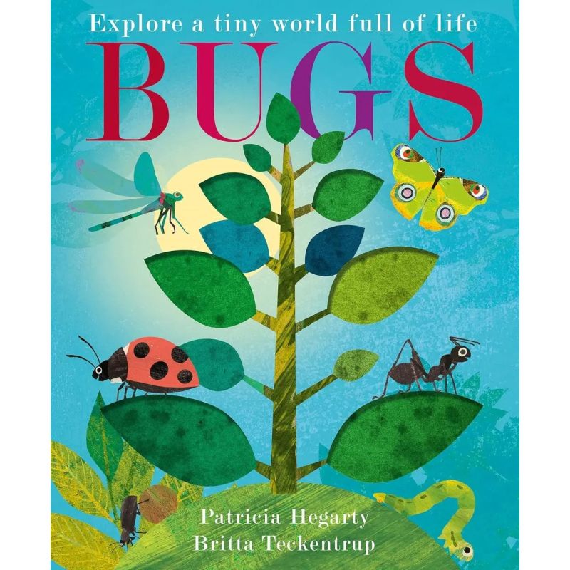 BUGS - PB (Nuevo)