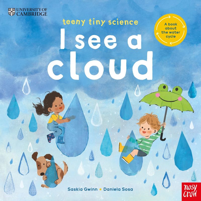 I SEE A CLOUD - TEENY TINY SCIENCE - PB (Nuevo)