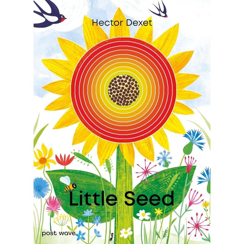LITTLE SEED - HB (Nuevo)