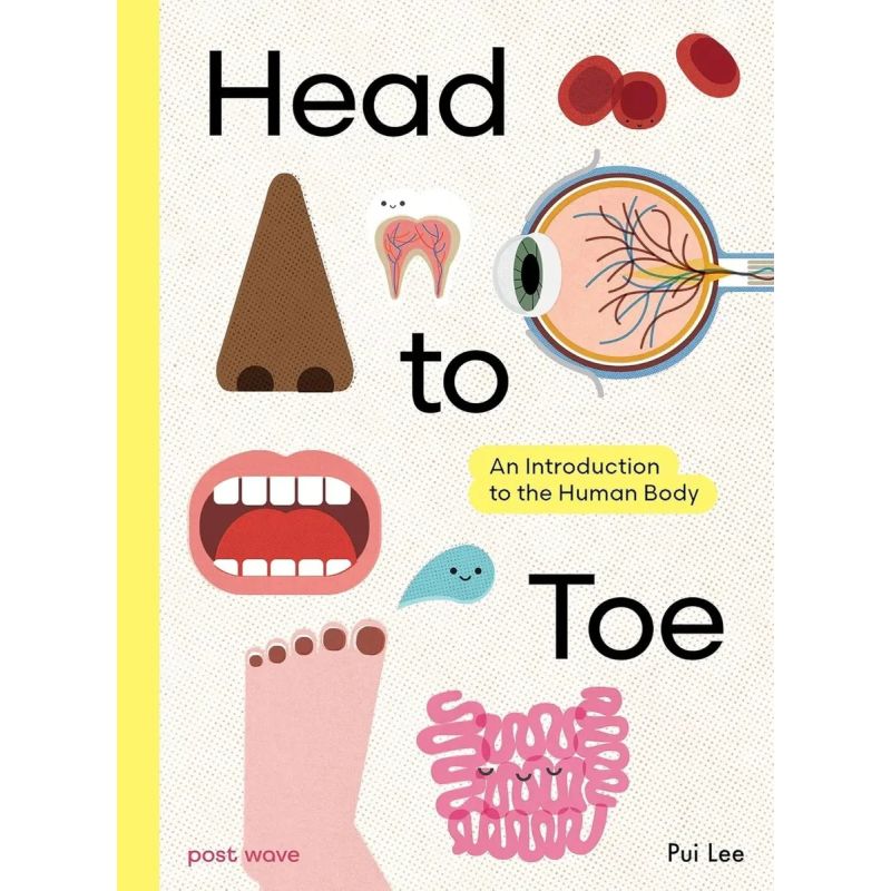 HEAD TO TOE - AN INTRODUCTION THE THE HUMAN BODY - HB (Nuevo)