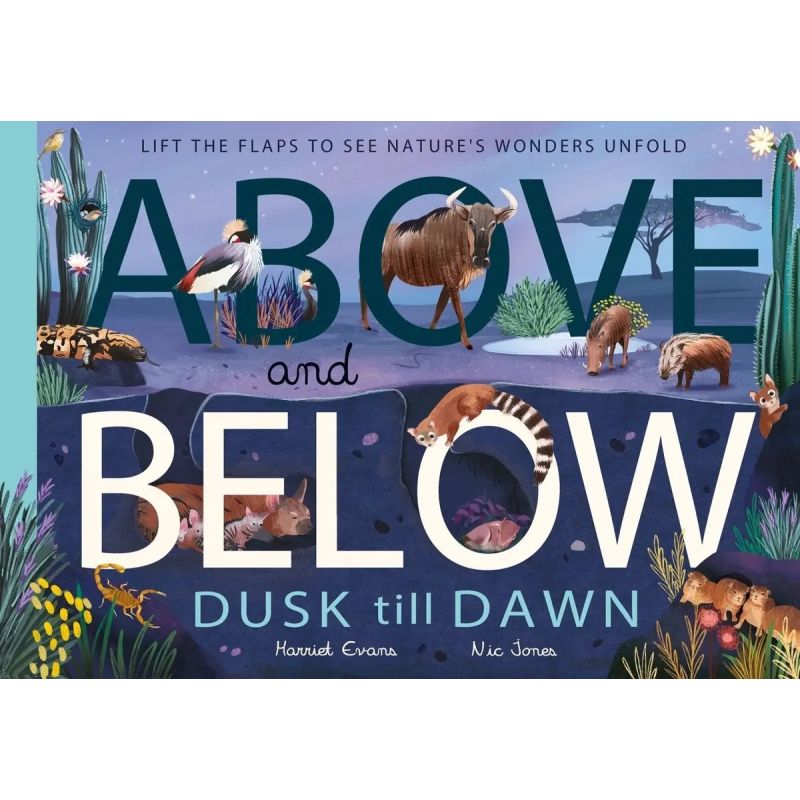 ABOVE AND BELOW - DUSK TILL DAWN - HB (Nuevo)