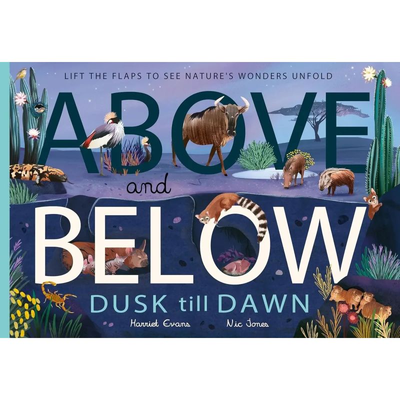 ABOVE AND BELOW - DUSK AND DAWN - PB (Nuevo)