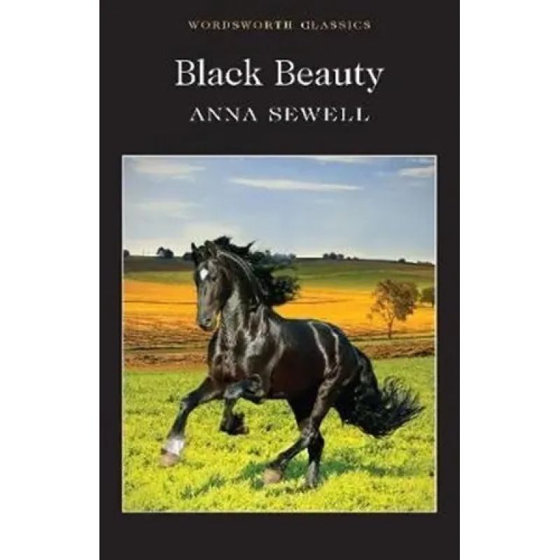 BLACK BEAUTY - WWC (Nuevo)