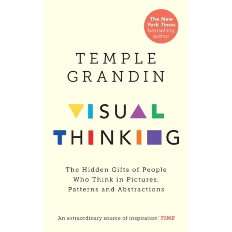 VISUAL THINKING (Nuevo)