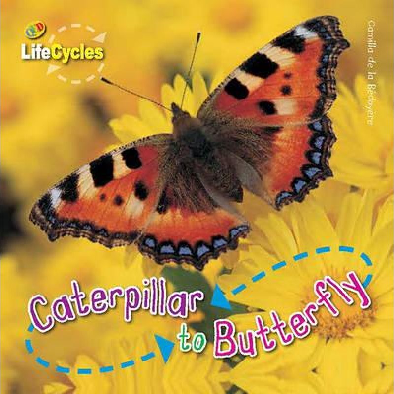 CATERPILLAR TO BUTTERFLY (PB) - LIFECYCLES* (Nuevo)