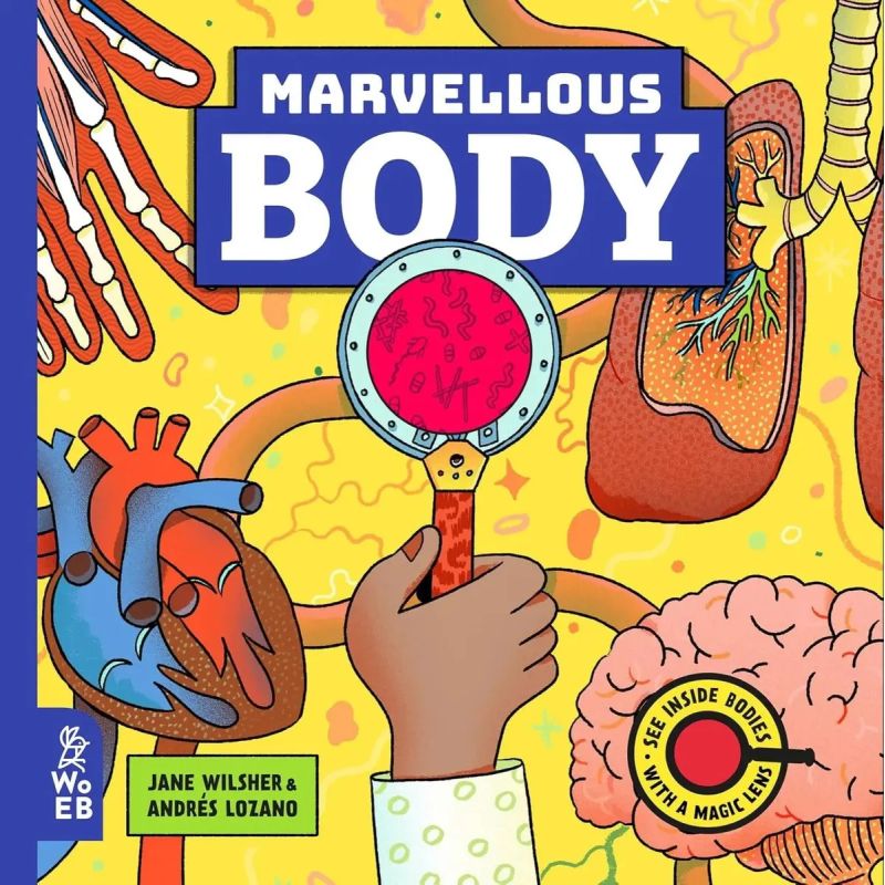MARVELLOUS BODY - HB (Nuevo)