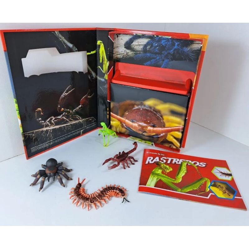 RASTREROS - PEQUEÑOS EXPLORADORES - TD (Nuevo) - Miniatura 4