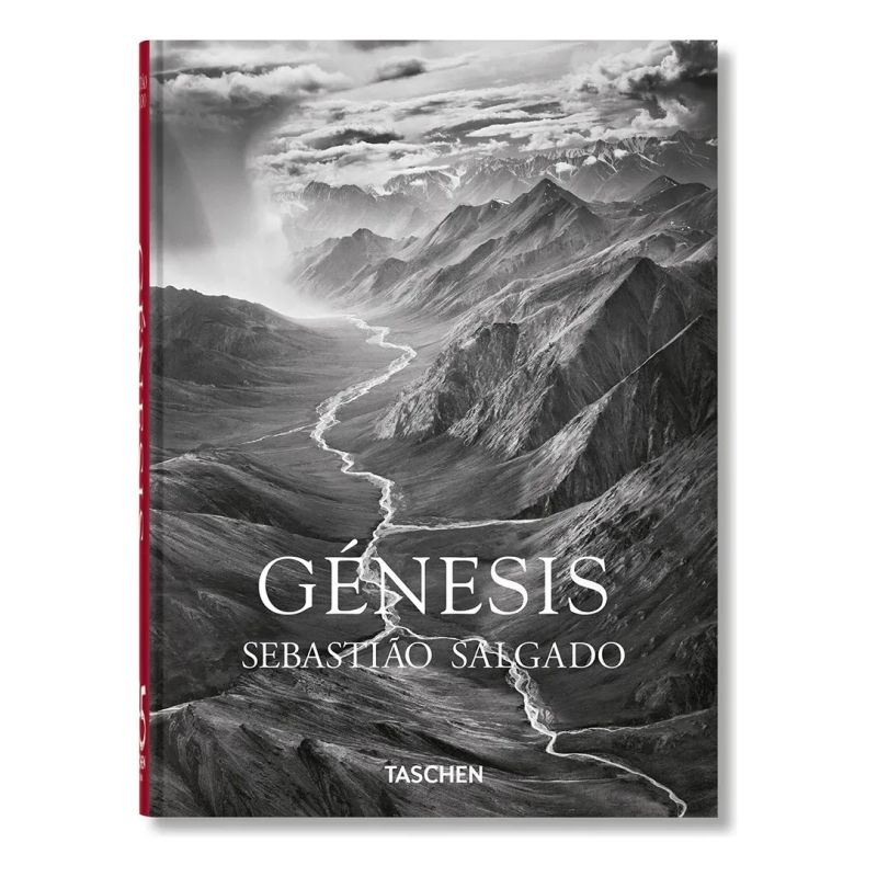 GENESIS - HB (Nuevo)