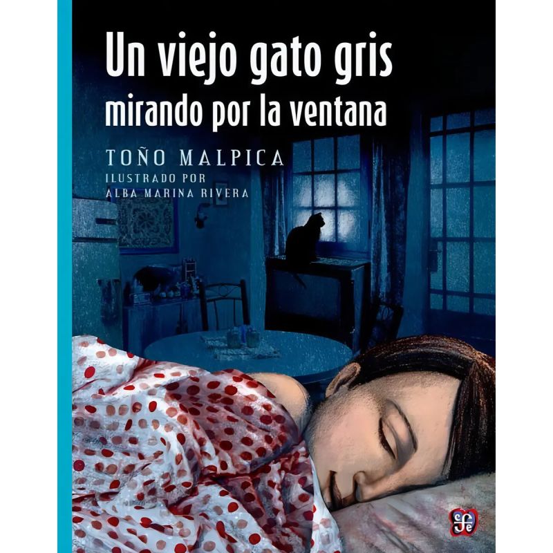 UN VIEJO GATO GRIS MIRANDO POR LA VENTANA - A LA ORILLA DEL VIENTO (Nuevo)