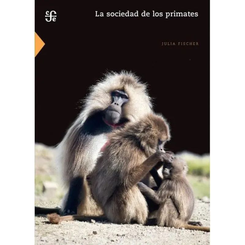 SOCIEDAD DE LOS PRIMATES, LA (Nuevo)