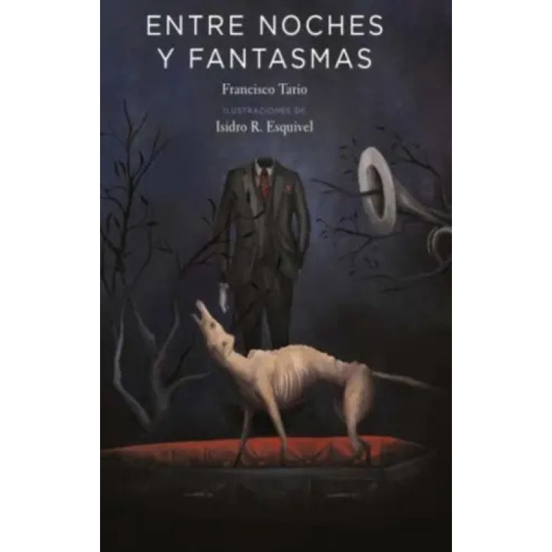 ENTRE NOCHES Y FANTASMAS (Nuevo)