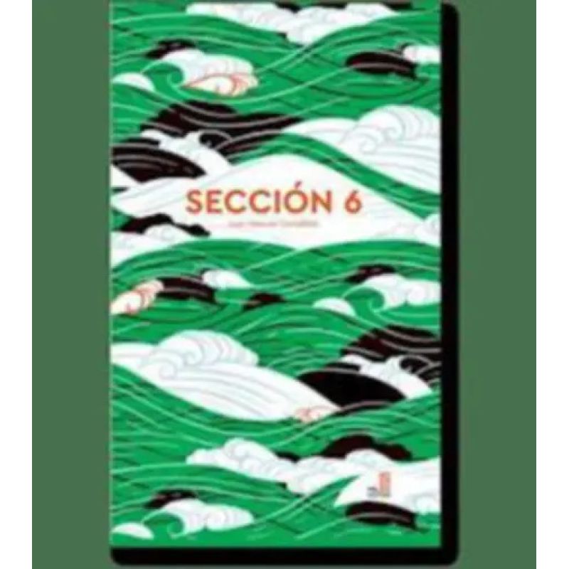 SECCION 6 (Nuevo)