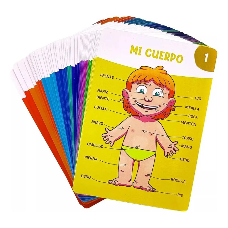 CUERPO HUMANO, EL - CARTAS CON LIBRO DE ACTIVIDADES (Nuevo) - Miniatura 2