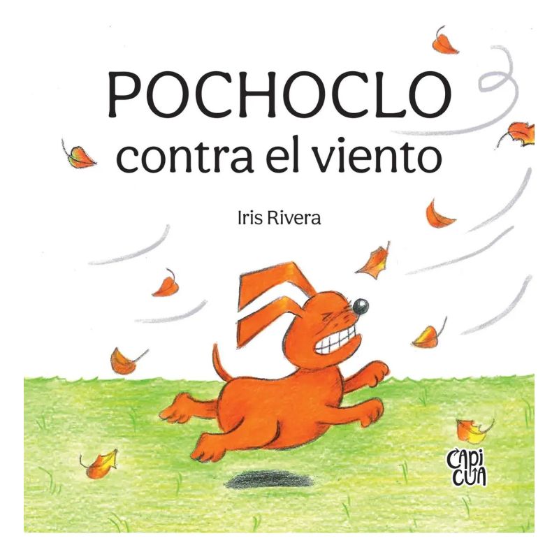 POCHOCLO CONTRA EL VIENTO - CARTONE (Nuevo)