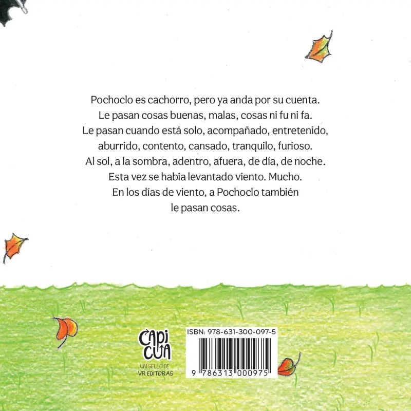 POCHOCLO CONTRA EL VIENTO - CARTONE (Nuevo) - Miniatura 2