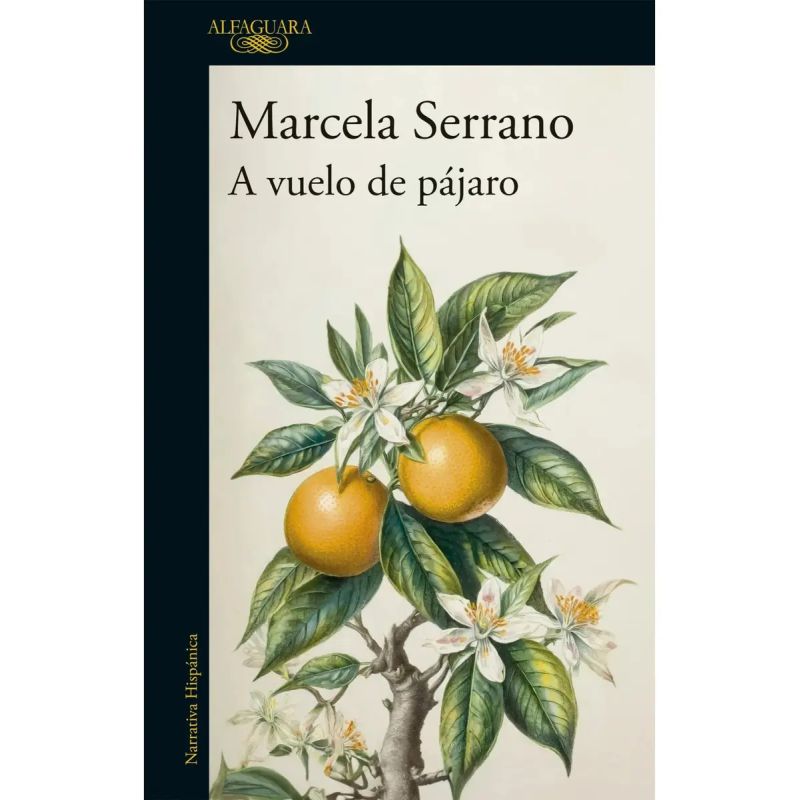 A VUELO DE PAJARO (Nuevo)
