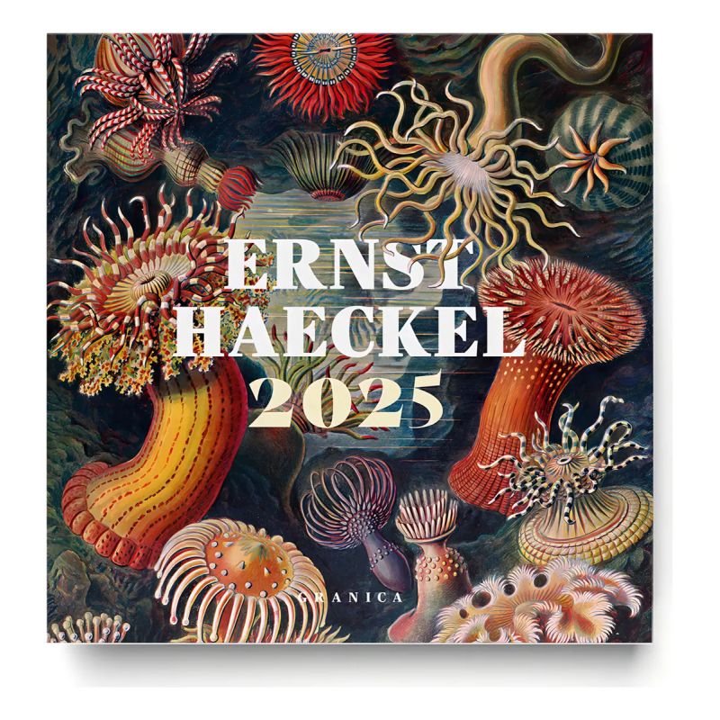 CALENDARIO 2025 ERNST HAECKEL DE PARED (Nuevo)