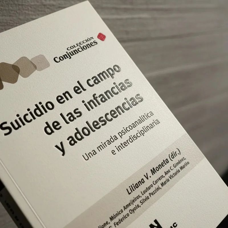 SUICIDIO EN EL CAMPO DE LAS INFANCIAS Y ADOLESCENCIAS (Nuevo) - Miniatura 3