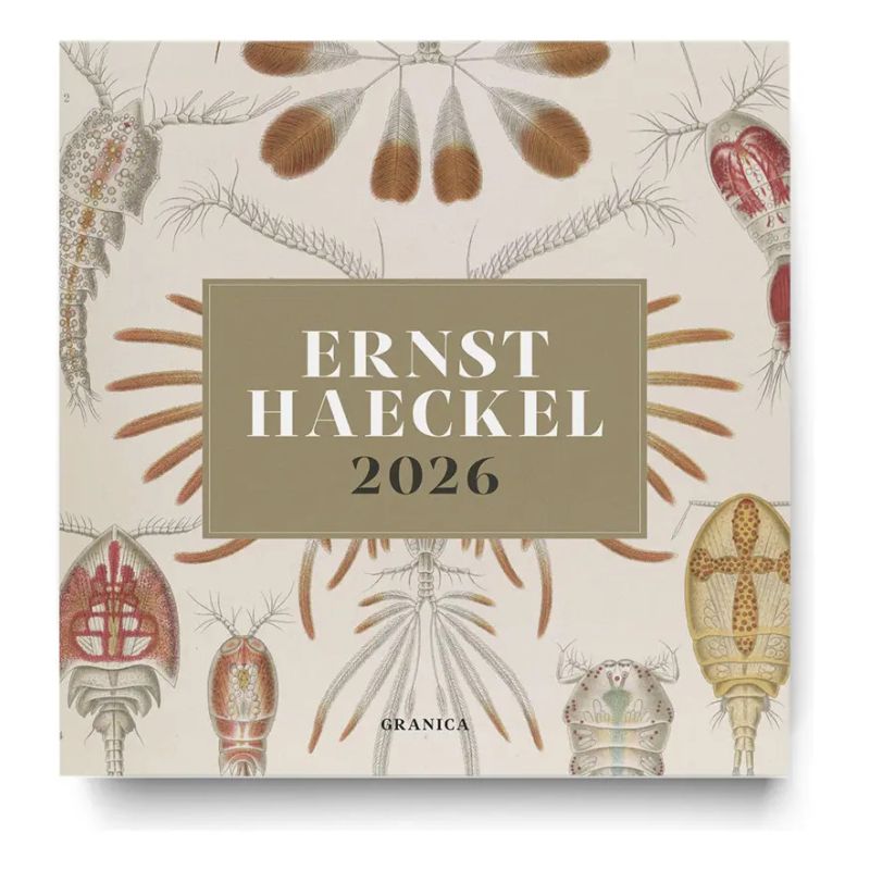 CALENDARIO DE PARED 2026 ERNST HAECKEL (Nuevo)
