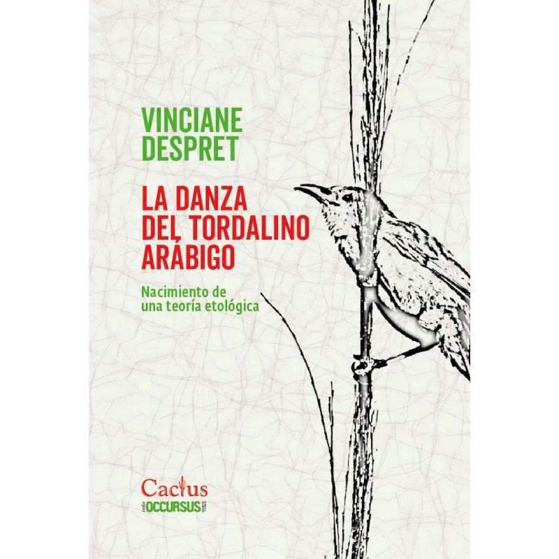 DANZA DEL TORDALINO ARABIGO, LA (Nuevo)