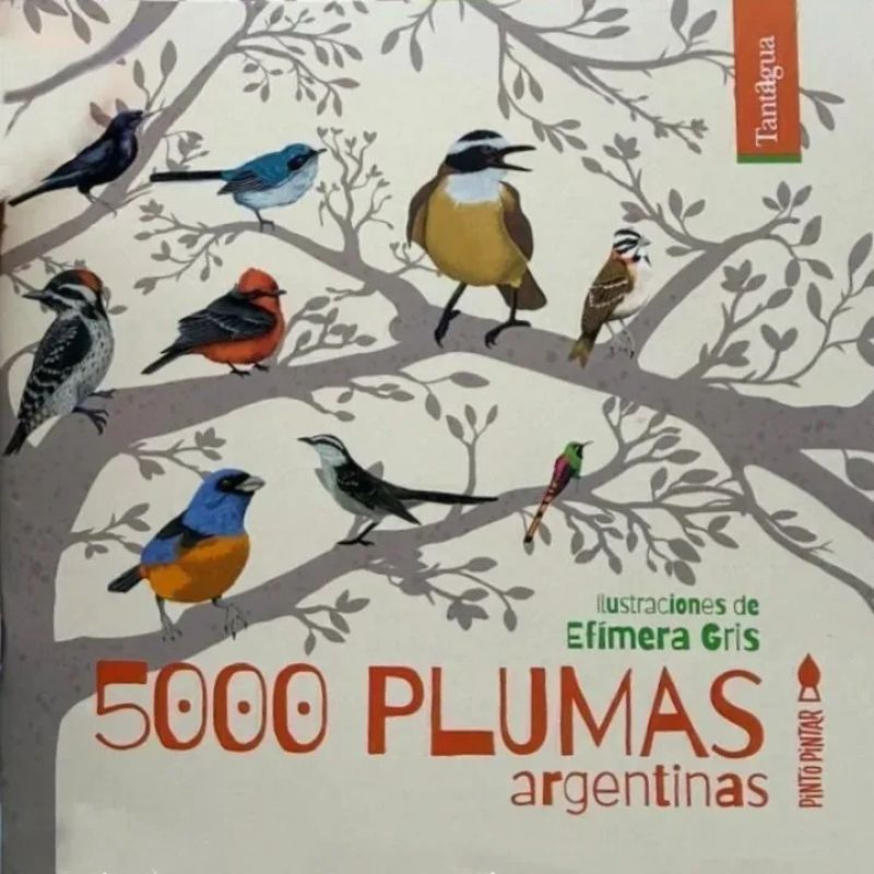 5000 PLUMAS ARGENTINAS (Nuevo)