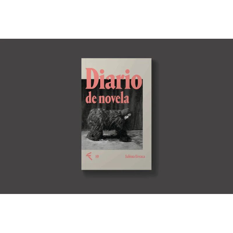 DIARIO DE NOVELA (Nuevo)