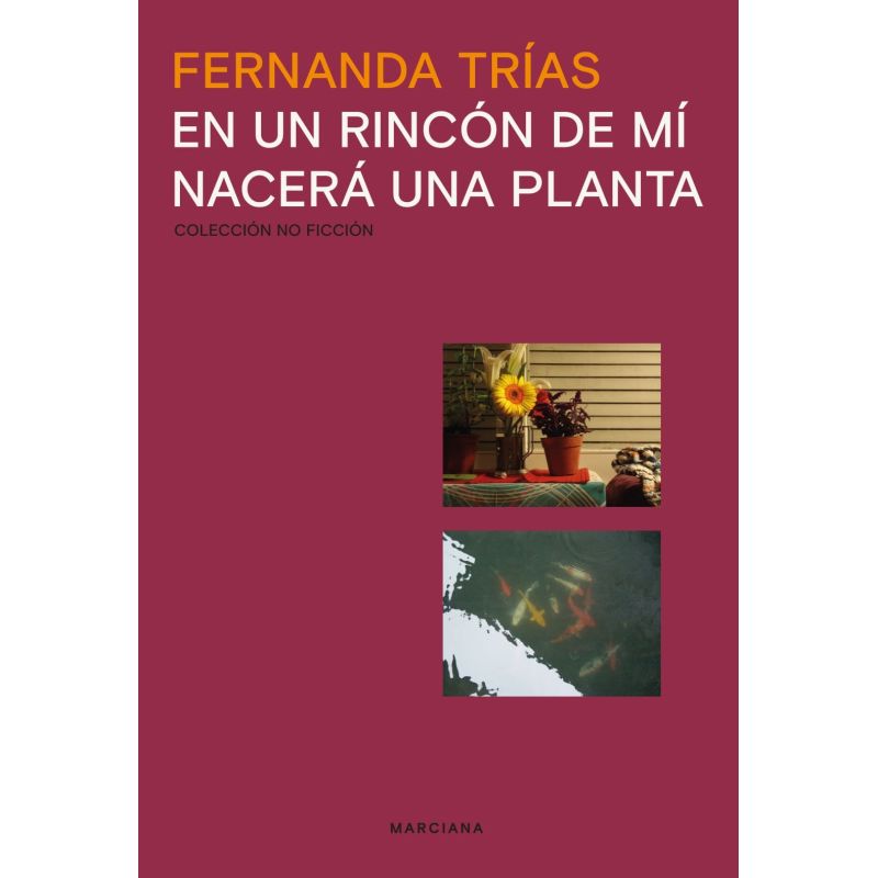 EN UN RINCON DE MI NACERA UNA PLANTA (Nuevo)