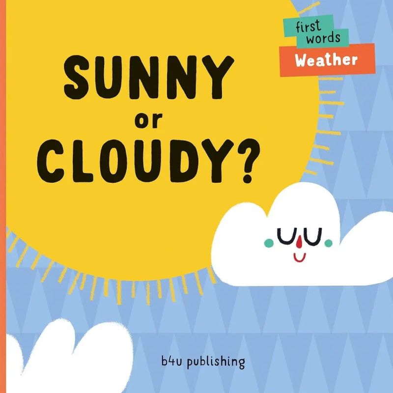 SUNNY OR CLOUDY? - FIRST WORDS WEATHER - BOARD BOOK (Nuevo)