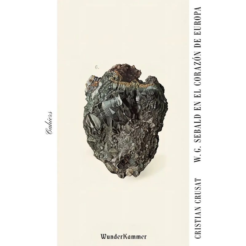 W.G SEBALD EN EL CORAZON DE EUROPA (Nuevo)