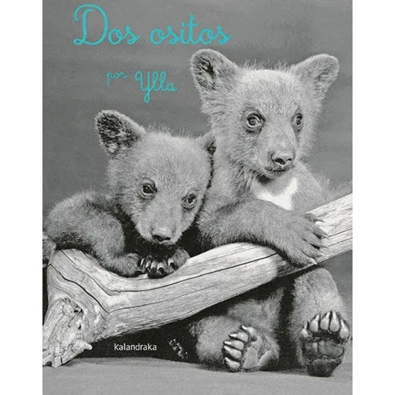 DOS OSITOS (Nuevo)