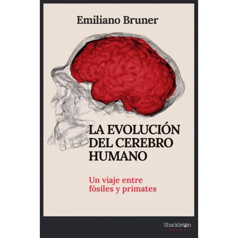 EVOLUCION DEL CEREBRO HUMANO, LA - UN VIAJE ENTRE FOSILES Y PRIMATES (Nuevo)