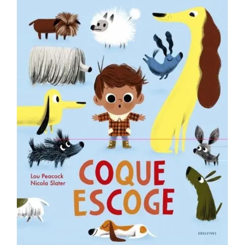 COQUE ESCOGE (Nuevo)