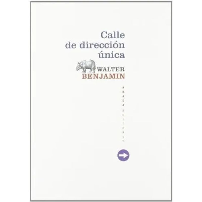 CALLE DE DIRECCION UNICA (Nuevo)