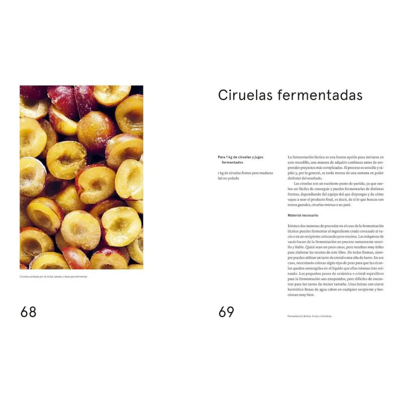 GUIA DE FERMENTACION DE NOMA, LA (Nuevo) - Miniatura 6