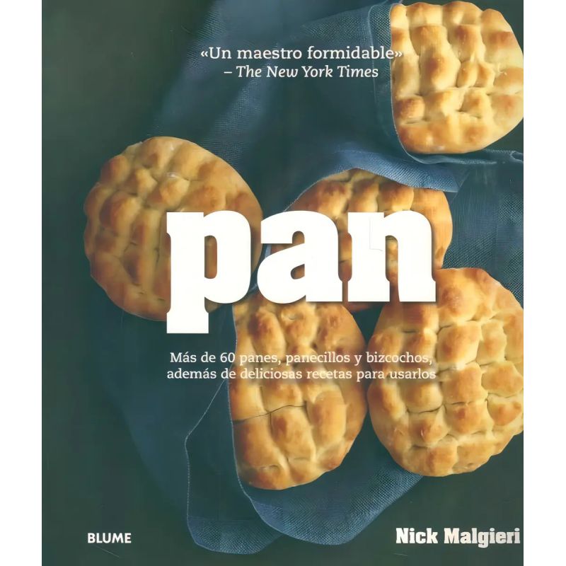 PAN (Nuevo)