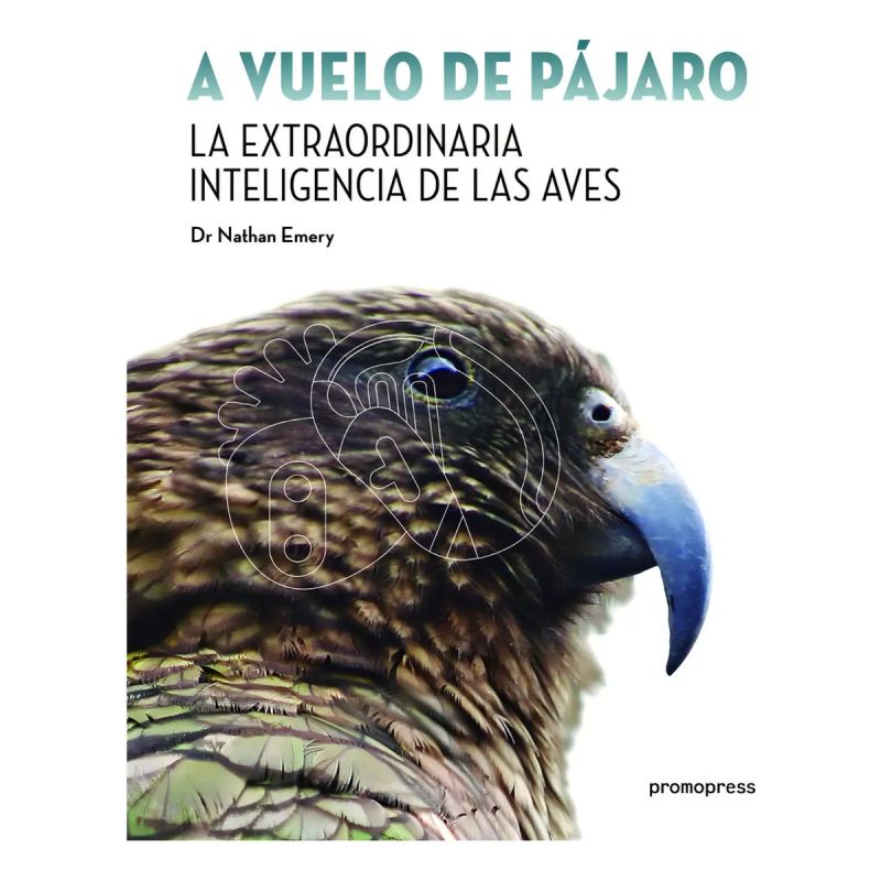 A VUELO DE PAJARO - LA EXTRAORDINARIA INTELIGENCIA DE LAS AVES - TD (Nuevo)