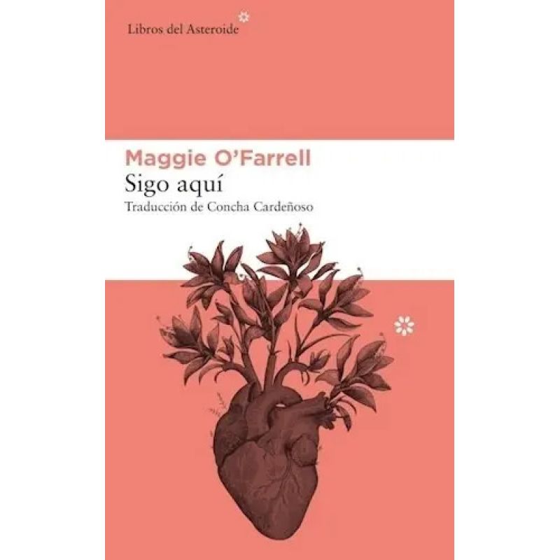 SIGO AQUI (Nuevo)