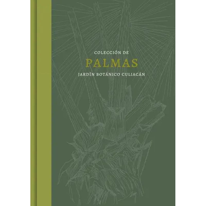 COLECCION DE PALMAS. JARDIN BOTANICO CULIACAN (Nuevo)