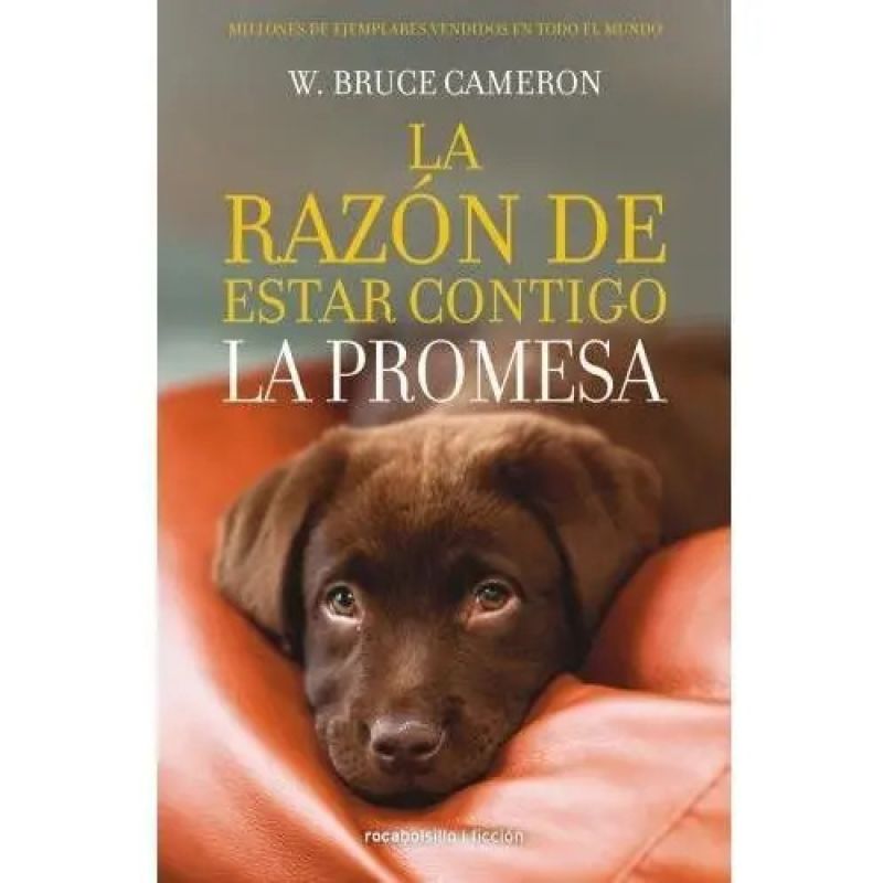 RAZON DE ESTAR CONTIGO 3, LA - LA PROMESA (Nuevo)