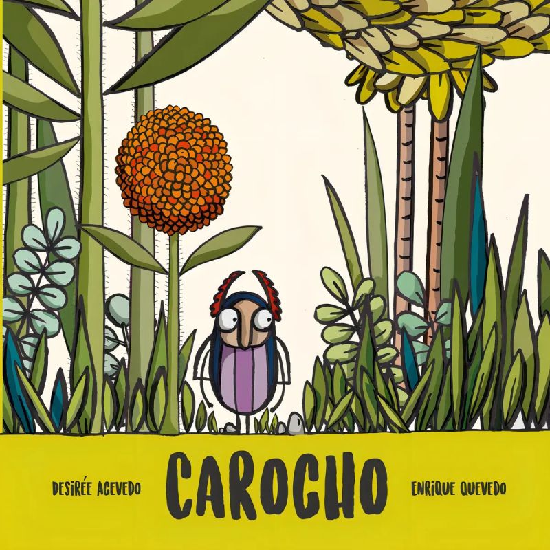 CAROCHO - TD (Nuevo)