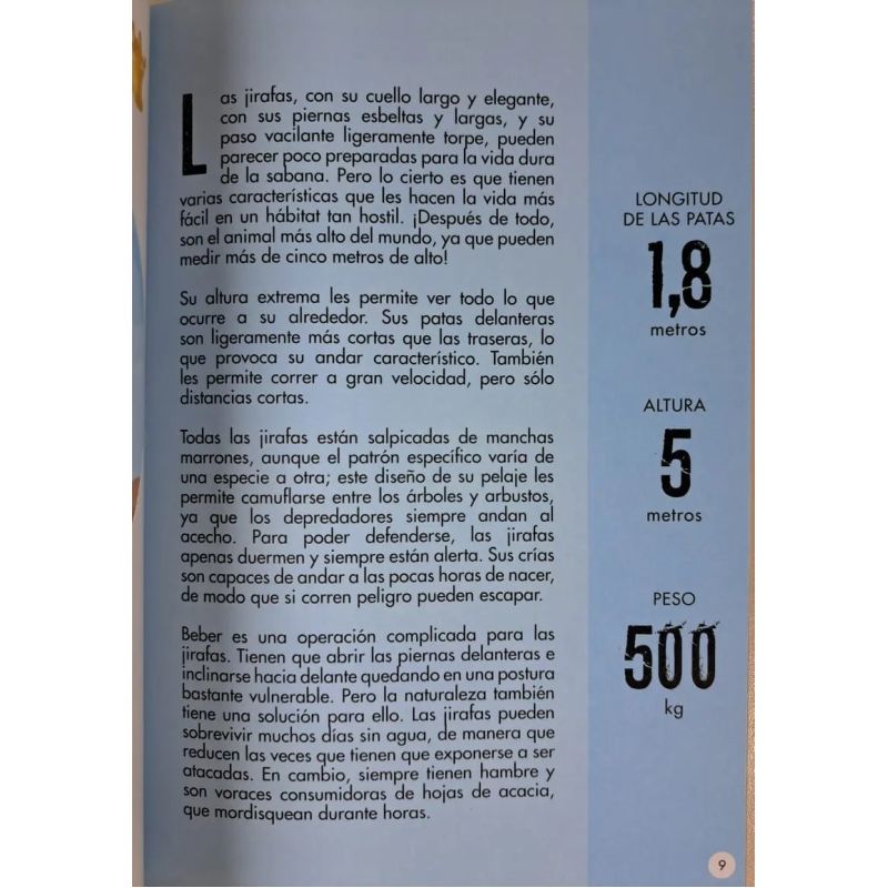 SABANA, LA - LIBRO + MAQUETA DE LEON 3D (Nuevo) - Miniatura 7