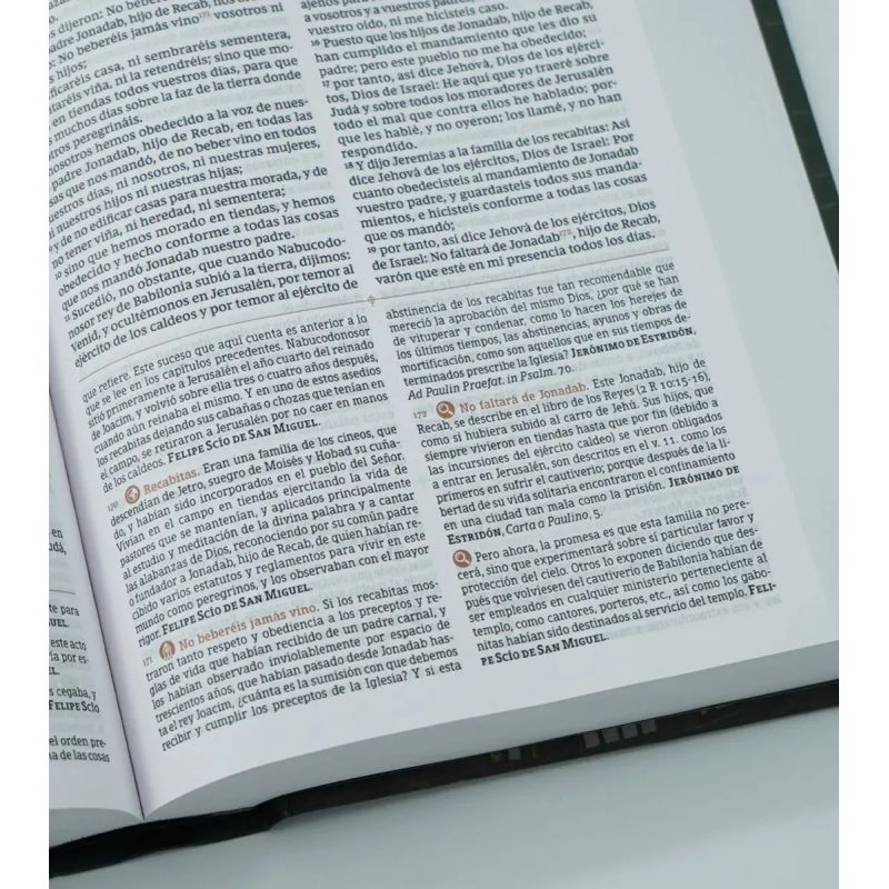 BIBLIA DE ESTUDIO PATRISTICA - SIGLOS I AL VI. LA SABIDURIA DEL CRISTIANISMO ANTIGUO - TAPA DURA (Nuevo) - Miniatura 3