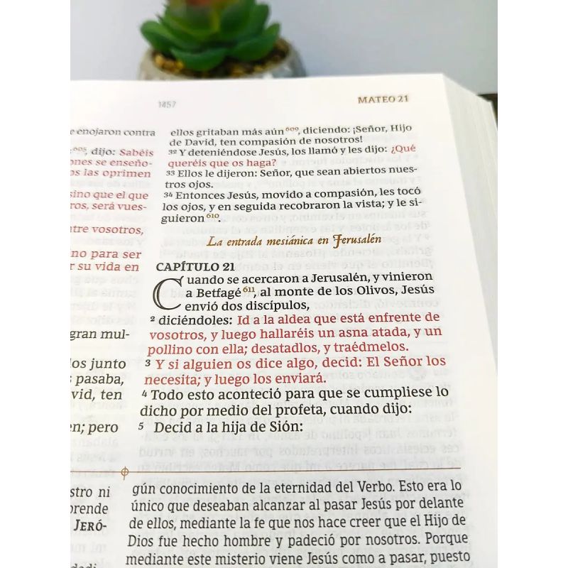 BIBLIA DE ESTUDIO PATRISTICA - SIGLOS I AL VI. LA SABIDURIA DEL CRISTIANISMO ANTIGUO - TAPA DURA (Nuevo) - Miniatura 6