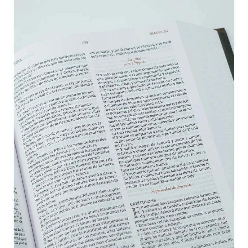 BIBLIA DE ESTUDIO PATRISTICA - SIGLOS I AL VI. LA SABIDURIA DEL CRISTIANISMO ANTIGUO - TAPA DURA (Nuevo) - Miniatura 4
